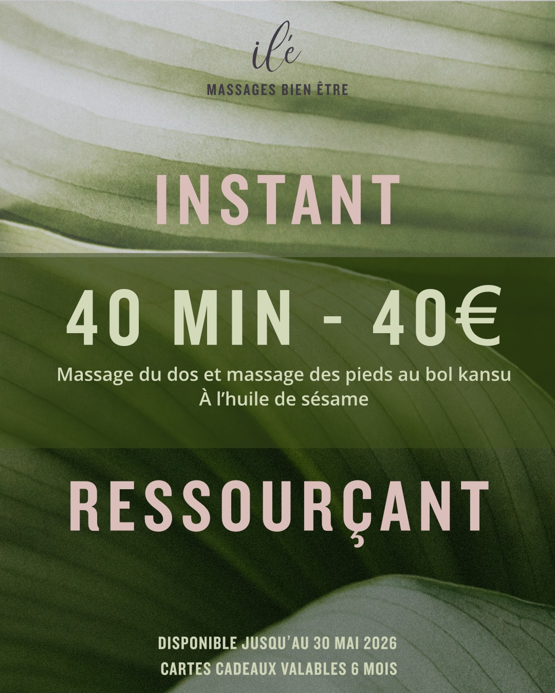 Détail de l'offre Offres fêtes des mères